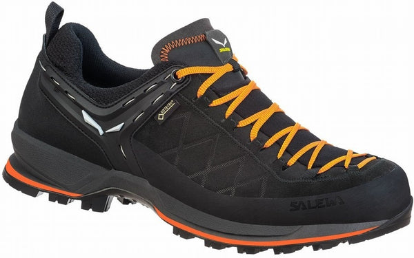 Trekkingschuhe für Herren Mtn trainer 2 GTX
