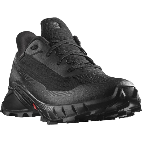 Herrenschuhe Alphacross 5 GTX