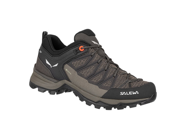 Damenschuhe Mtn trainer lite GTX