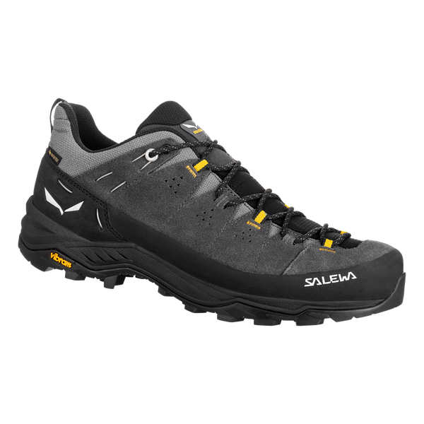 Herren-Trekkingschuhe Alp trainer 2 GTX