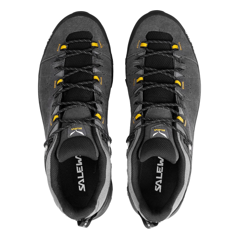 Herren-Trekkingschuhe Alp trainer 2 GTX