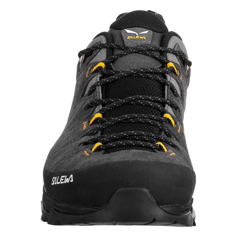 Herren-Trekkingschuhe Alp trainer 2 GTX