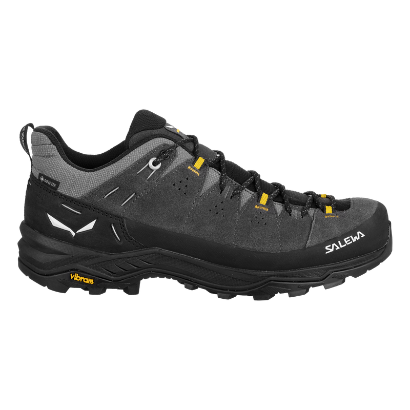 Herren-Trekkingschuhe Alp trainer 2 GTX
