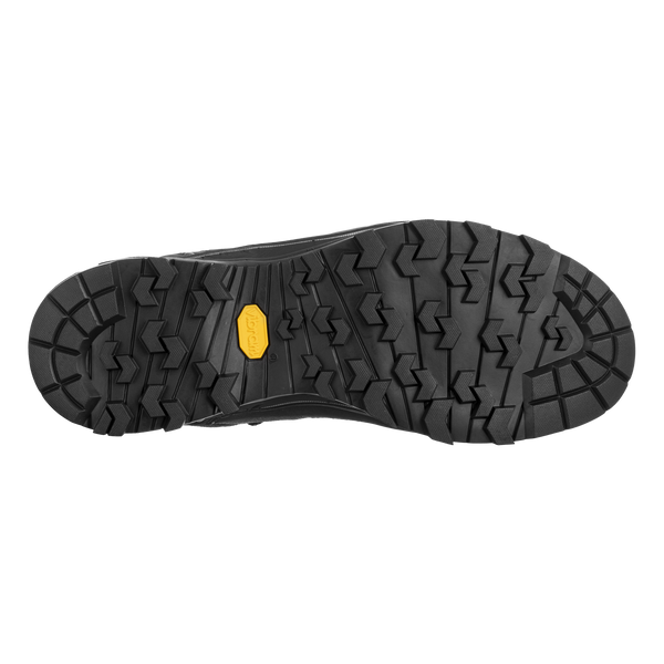 Herren-Trekkingschuhe Alp trainer 2 GTX