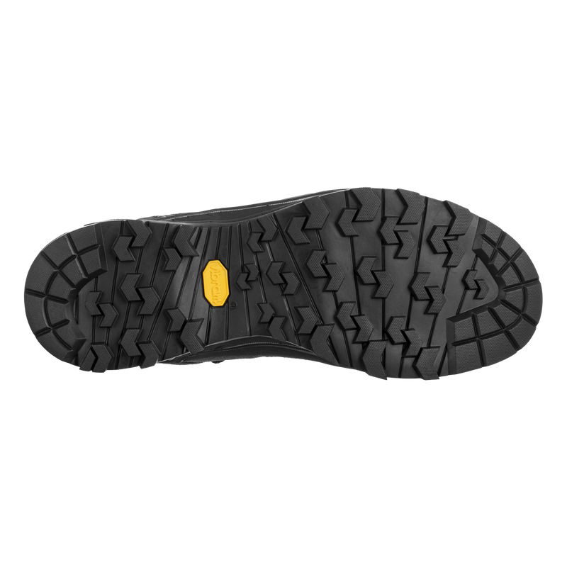 Herren-Trekkingschuhe Alp trainer 2 GTX