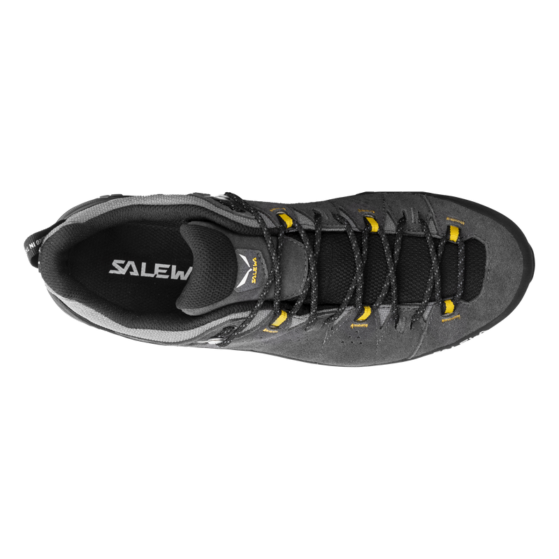 Herren-Trekkingschuhe Alp trainer 2 GTX