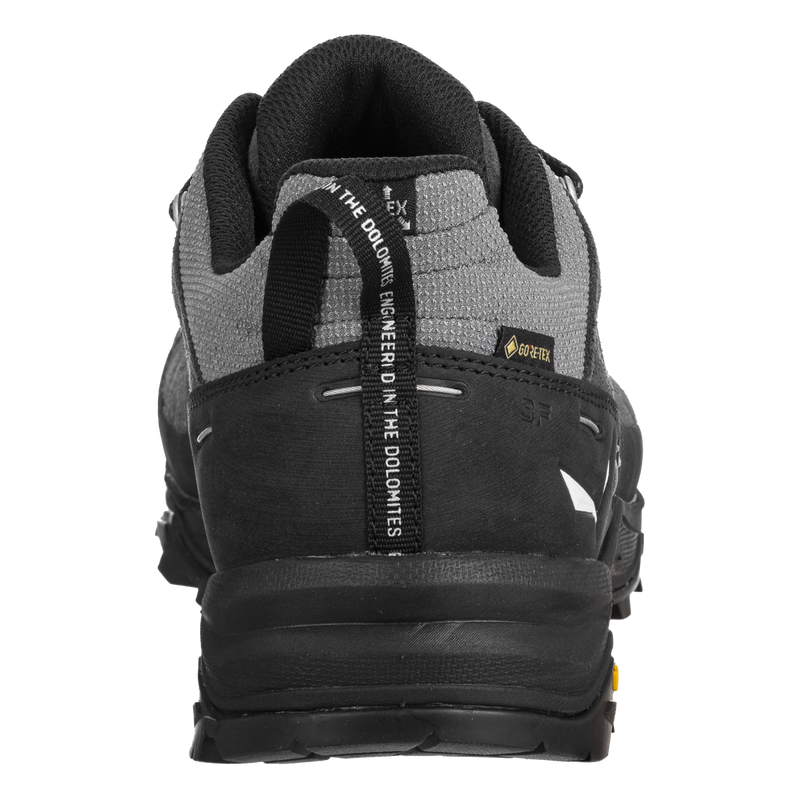 Herren-Trekkingschuhe Alp trainer 2 GTX