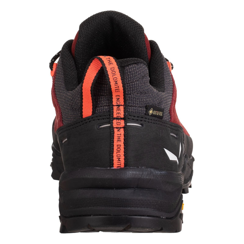 Damen-Trekkingschuhe Alp trainer 2 GTX