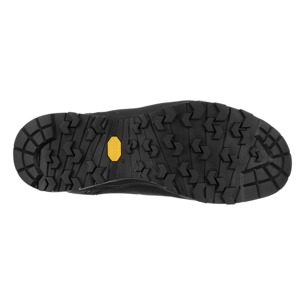 Trekkingschuhe für Herren Alp trainer 2