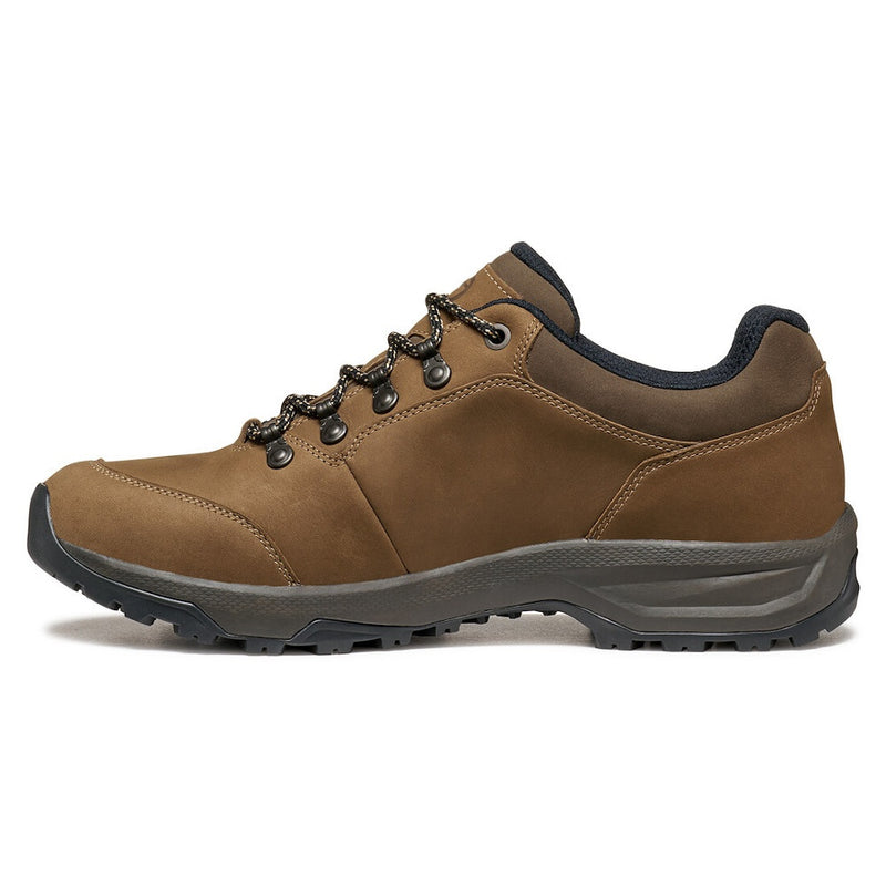 Herren-Trekkingschuhe Cyrus 2 GTX
