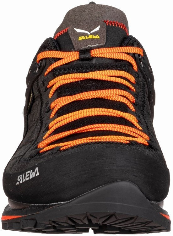 Trekkingschuhe für Herren Mtn trainer 2 GTX