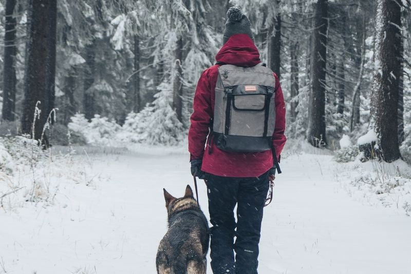 City Rucksack Robber 25l