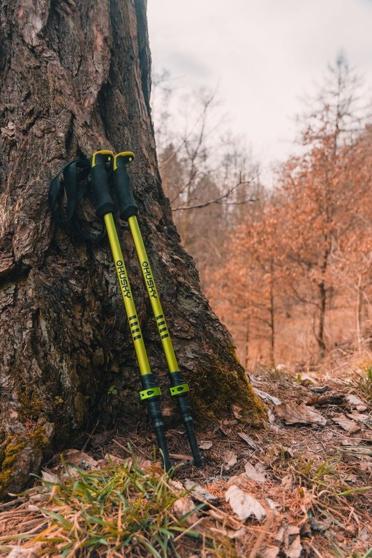 Trekkingstöcke Spurf
