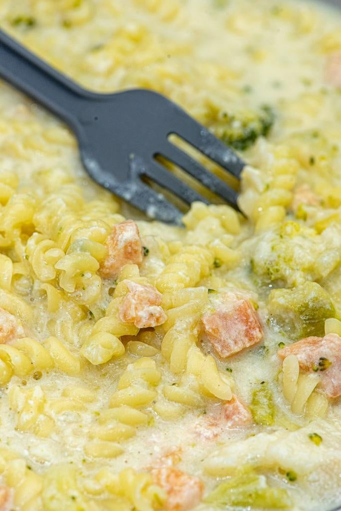 Gefriergetrocknete Nahrung Lachs mit Nudeln und Brokkoli
