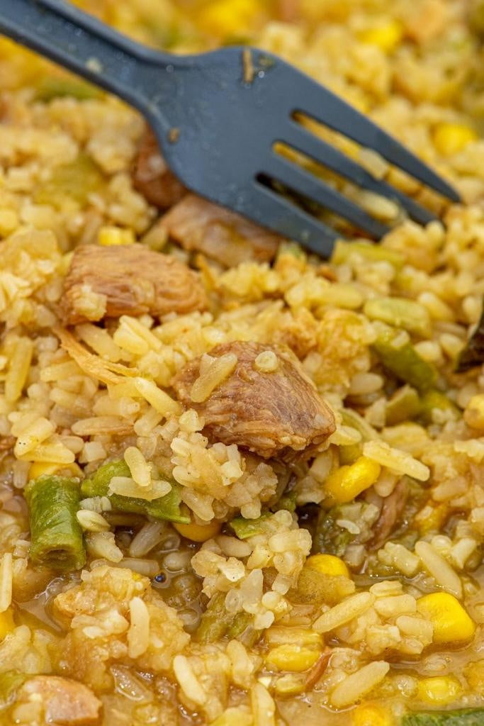 Gefriergetrocknete Mahlzeit Gebratener Reis mit Huhn und Teriyaki-Sauce