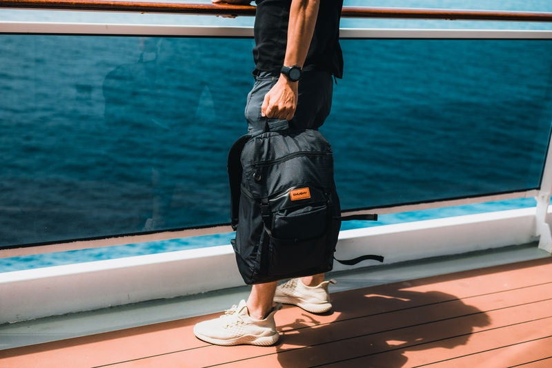 City Rucksack Robber 25l