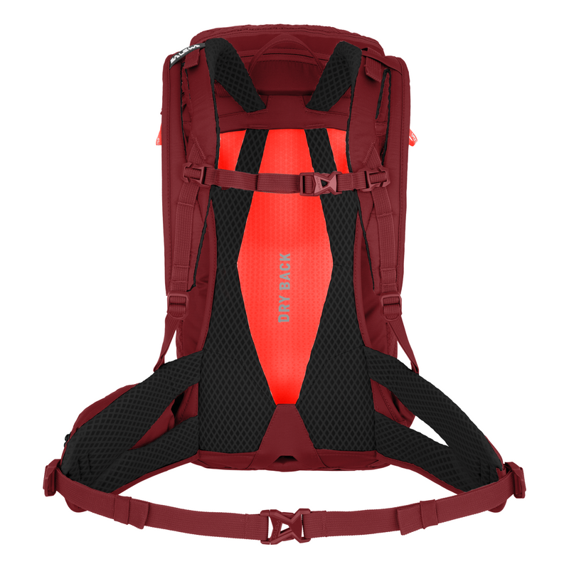 Wander-Rucksack Alp Trainer 20 WS