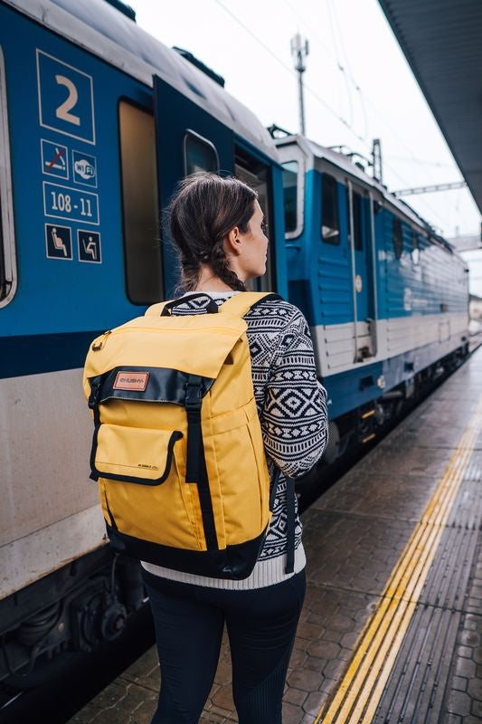 City Rucksack Robber 25l