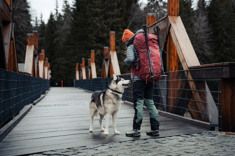 Rucksack Expedition Rony 50l
