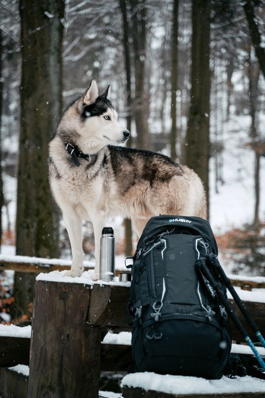 Rucksack Expedition Rony 50l