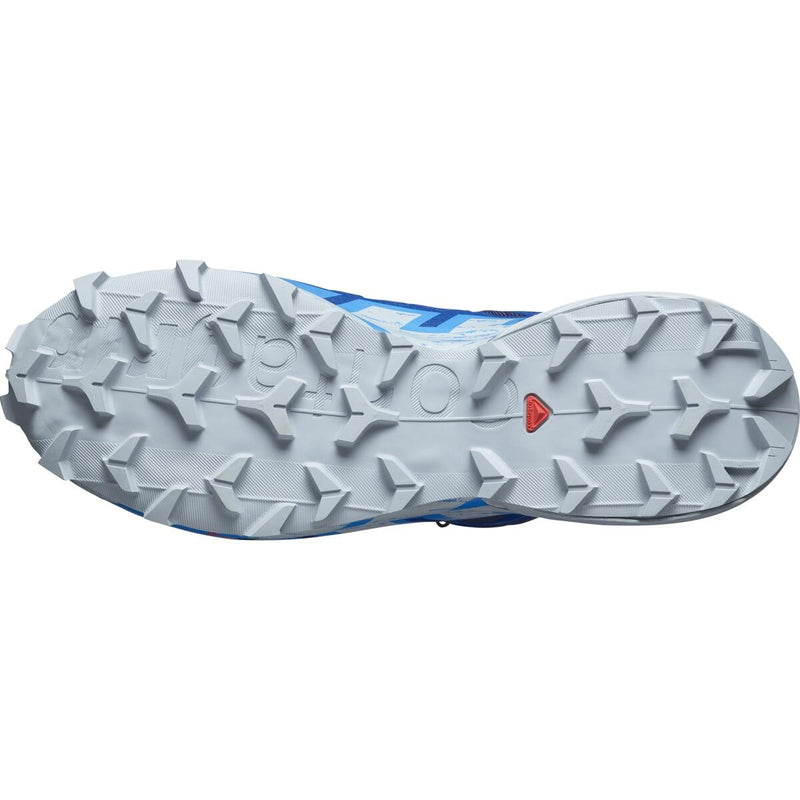 Laufschuhe für Herren Speedcross 6 GTX