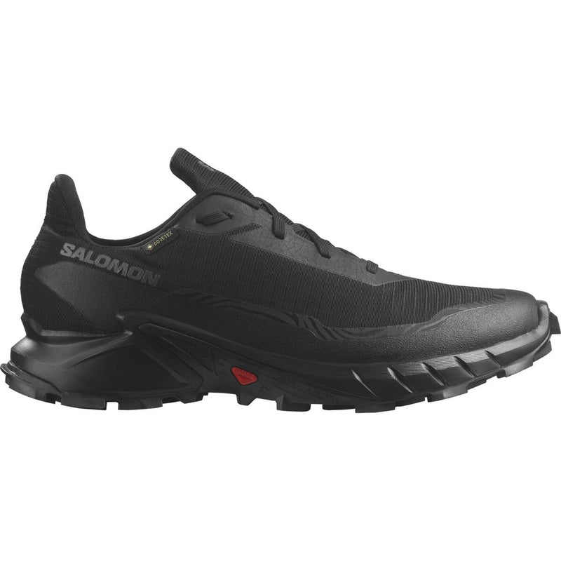 Herrenschuhe Alphacross 5 GTX