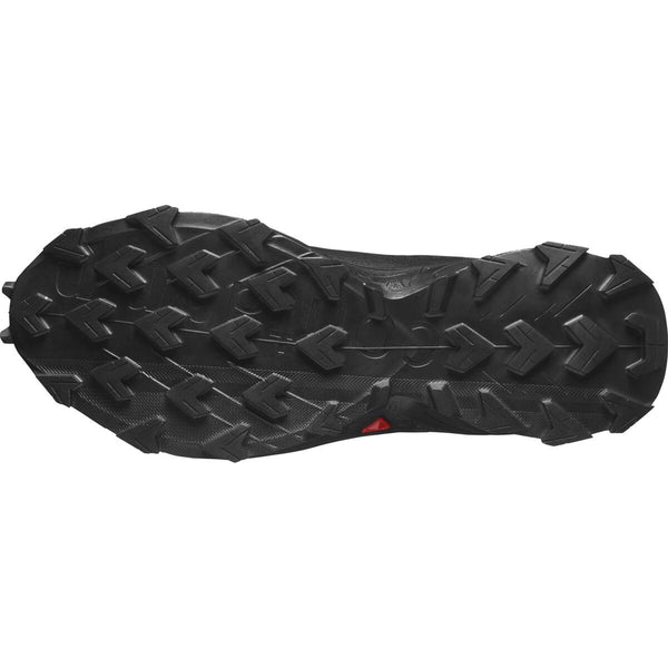 Herrenschuhe Alphacross 5 GTX