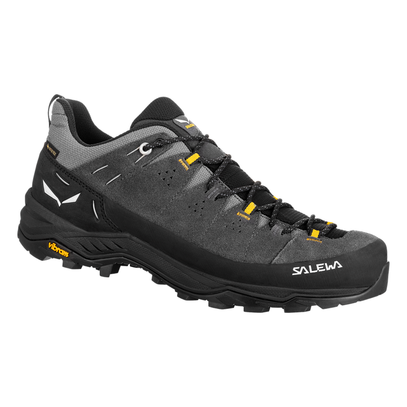 Herren-Trekkingschuhe Alp trainer 2 GTX