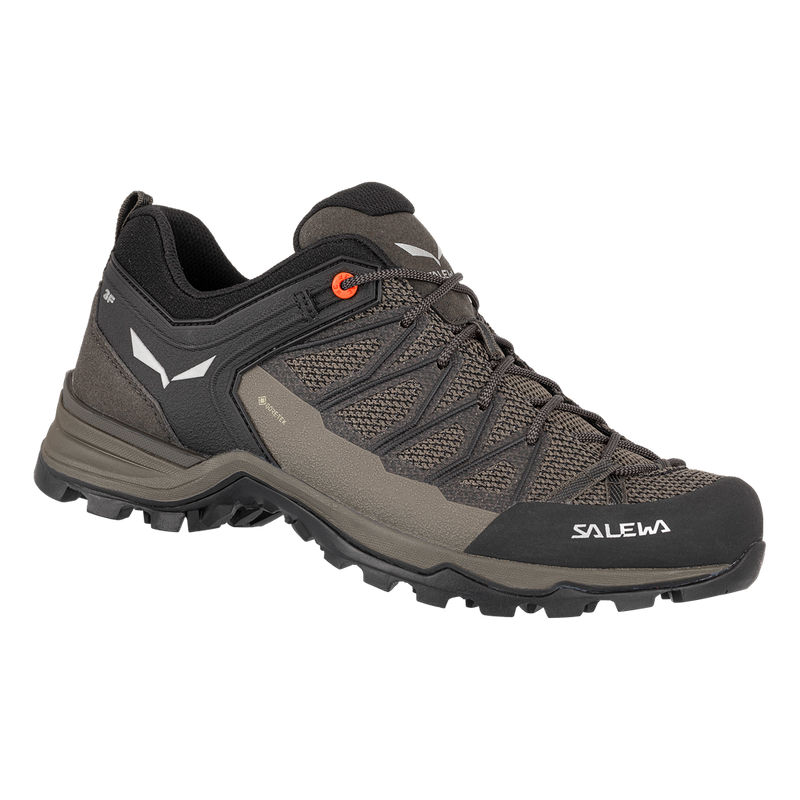 Trekkingschuhe für Herren SALEWA Mtn trainer lite GTX